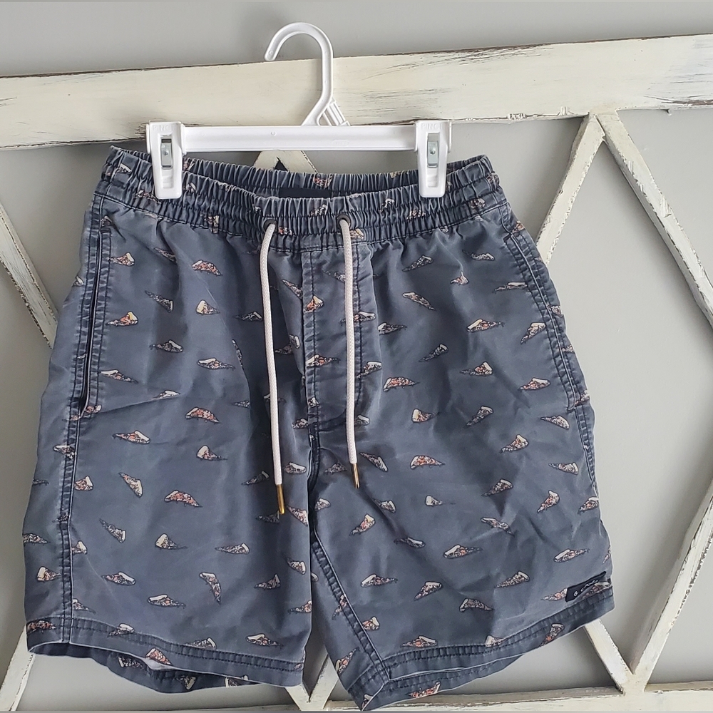 Barney Cools Amphibious Short 17 - Black/Pizza  Size 30 Swim Shorts